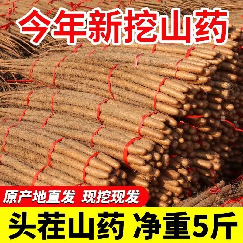 【新鲜直达】3斤铁棍麻山药正宗焦作淮山药新鲜甜现营养健康天然
