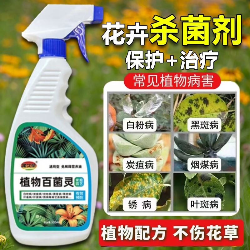 植物百菌灵防治白粉病炭疽烂根花卉除菌通用型多菌灵专用杀菌喷剂