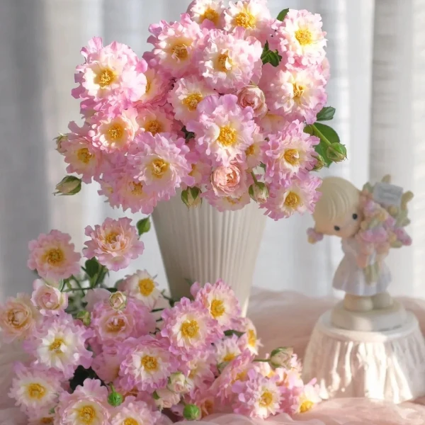 【梦幻海葵】粉色多头玫瑰一件包邮云南鲜花直发高级感需醒花养护