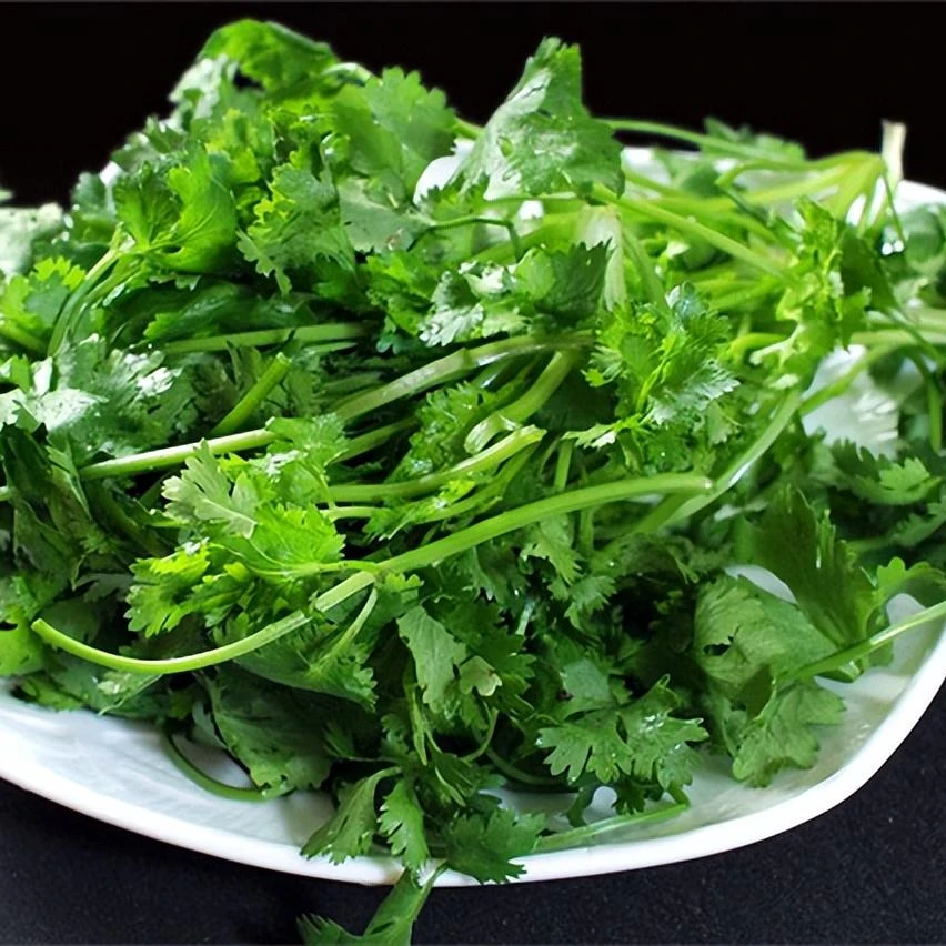 【云才支书助农】农家腌香菜盐菜