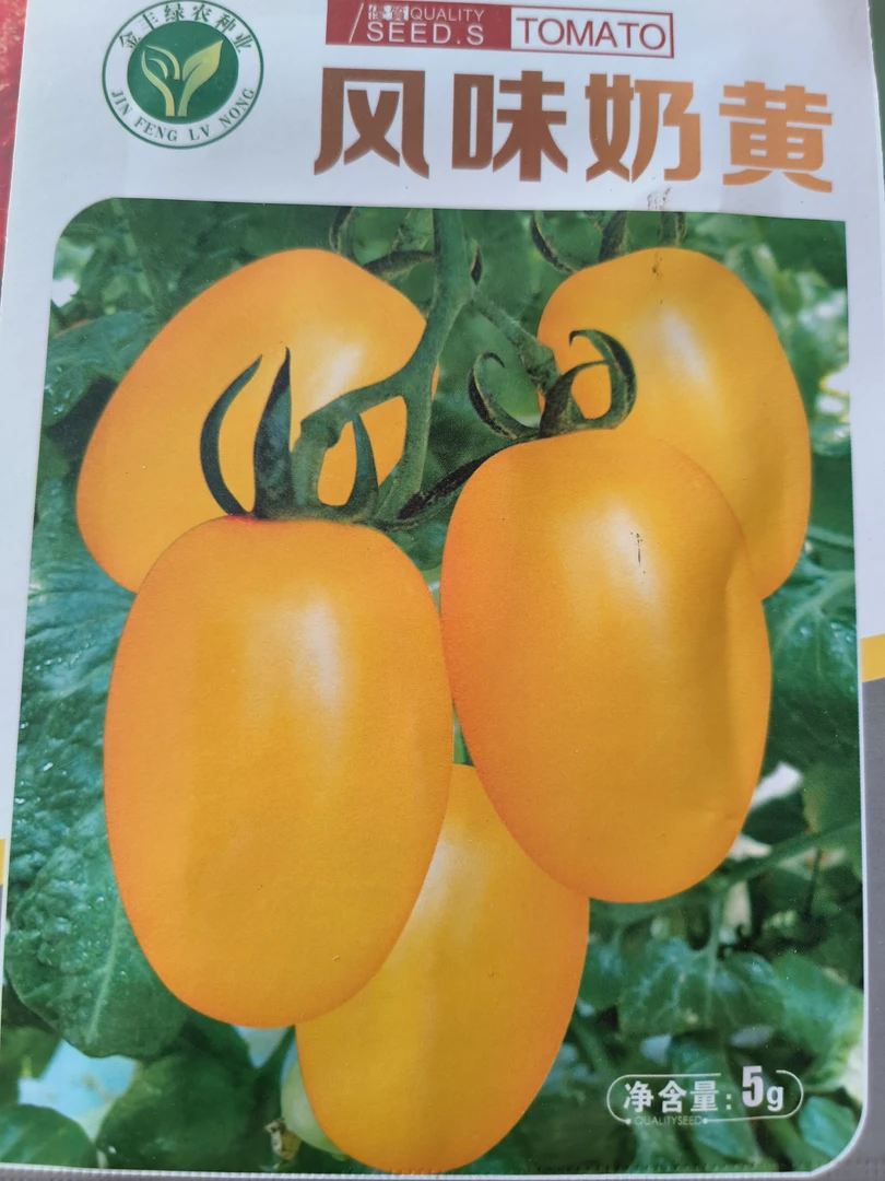 风味奶黄柿子种子