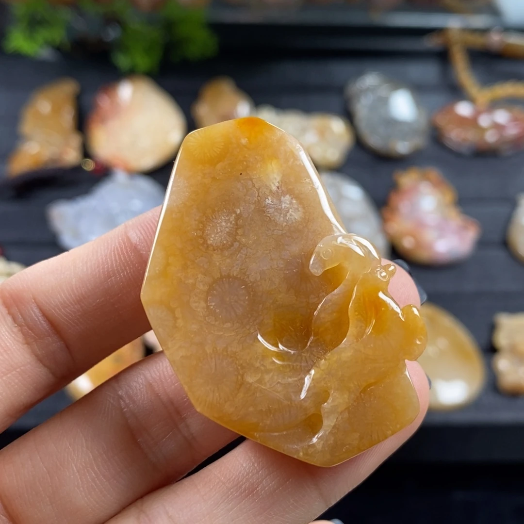 硅化玉颈饰未镶嵌马牌