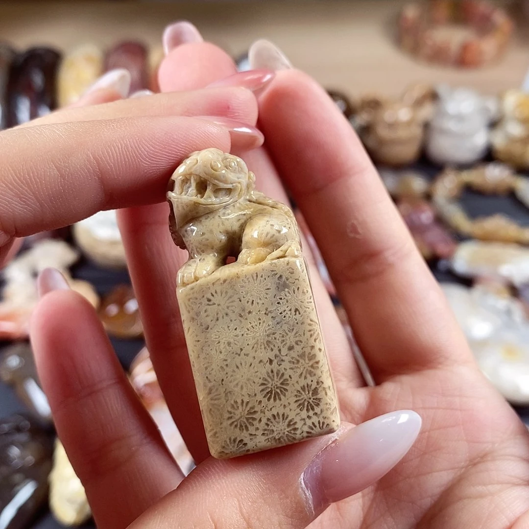 硅化玉颈饰未镶嵌