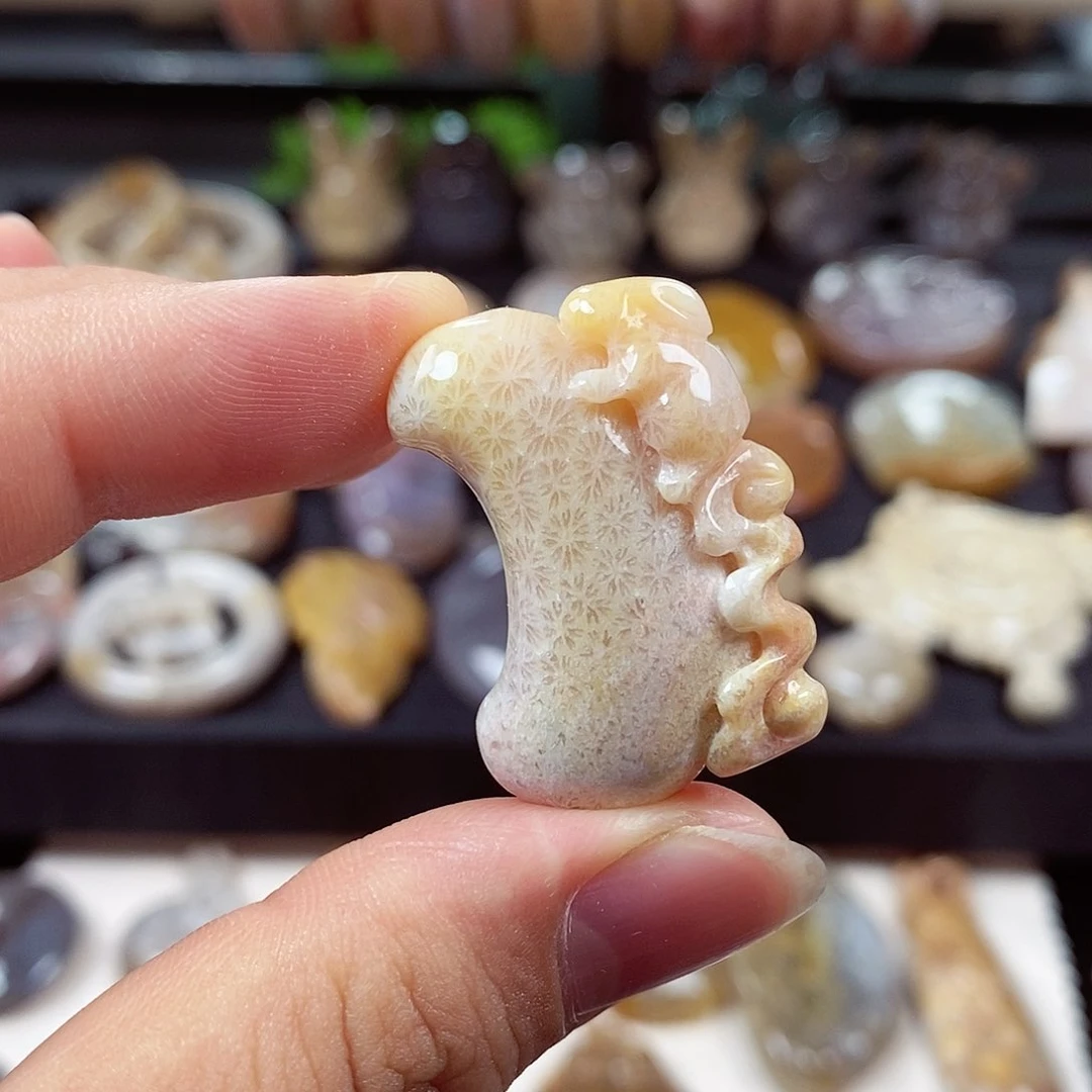 硅化玉颈饰未镶嵌
