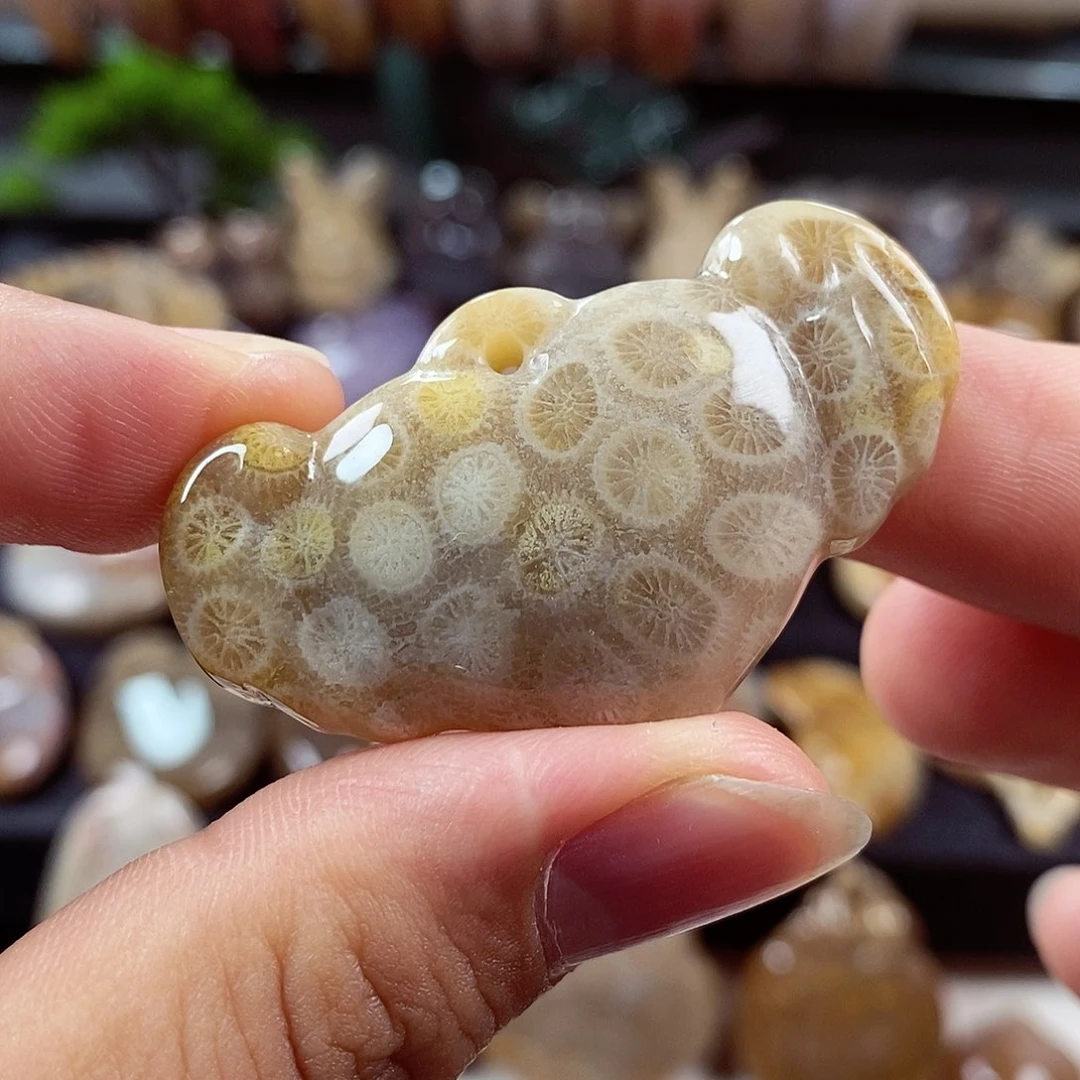 硅化玉颈饰未镶嵌