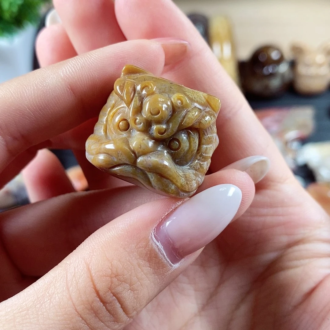 硅化玉颈饰未镶嵌