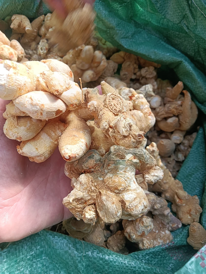 云南土特产，，，竹节干货链接