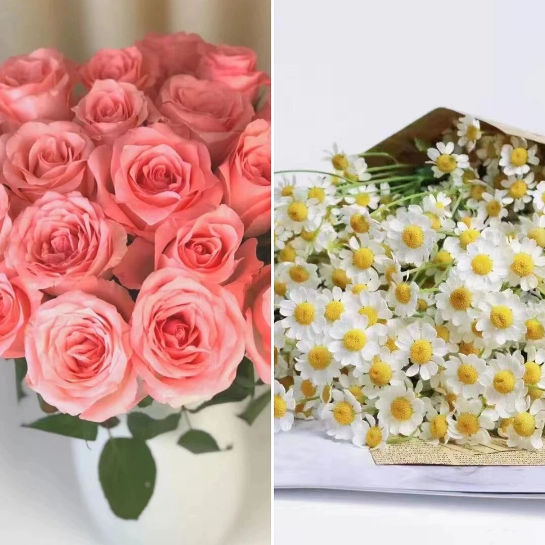 【浮力组合】 戴安娜+洋甘菊  店铺现货包邮 鲜花鲜切花