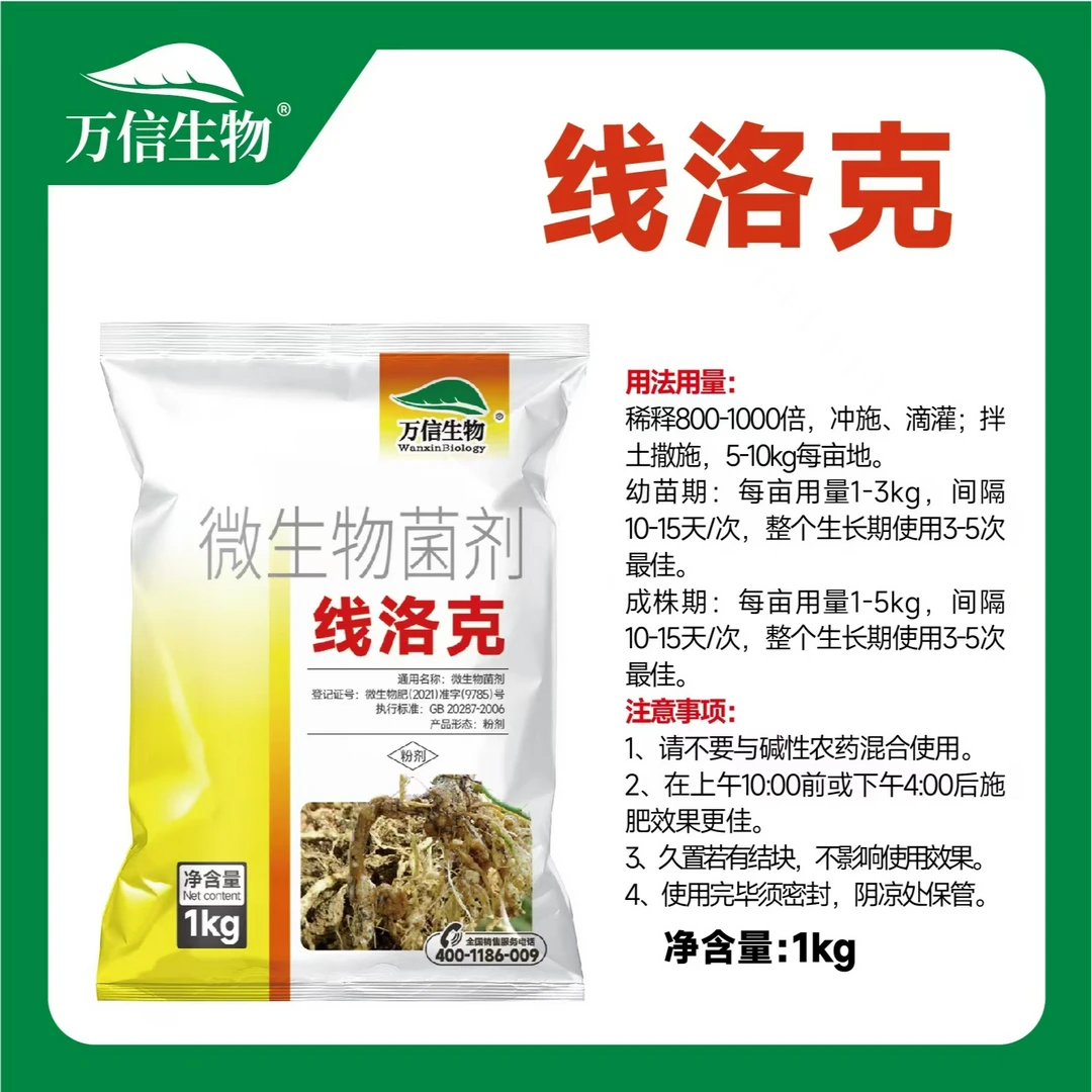 线洛克针对根结线虫根线瘤淡紫紫胞菌微生物菌剂