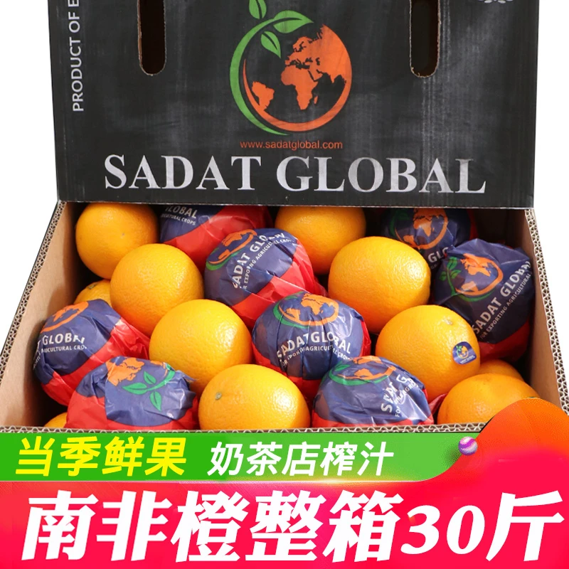 埃及进口橙子30斤整箱 南非当季新鲜水果奶茶店榨汁用夏橙包邮