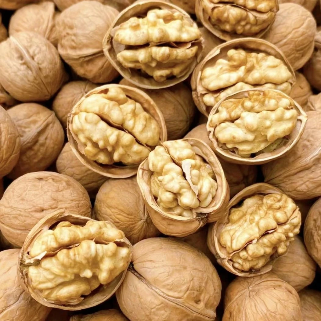 今年新纸皮核桃1000g（1小时送货到家）