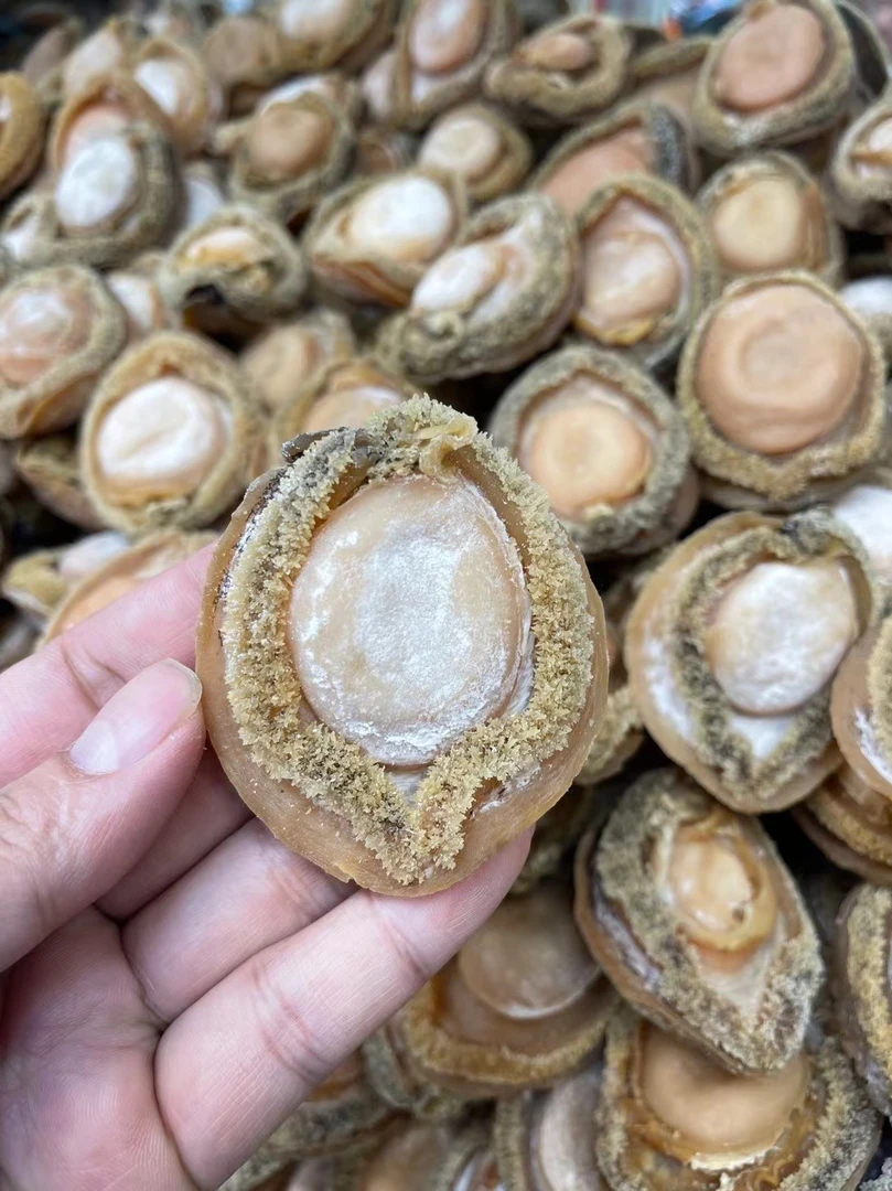 【5-8头】南非干鲍干货鲍鱼500g可代加工