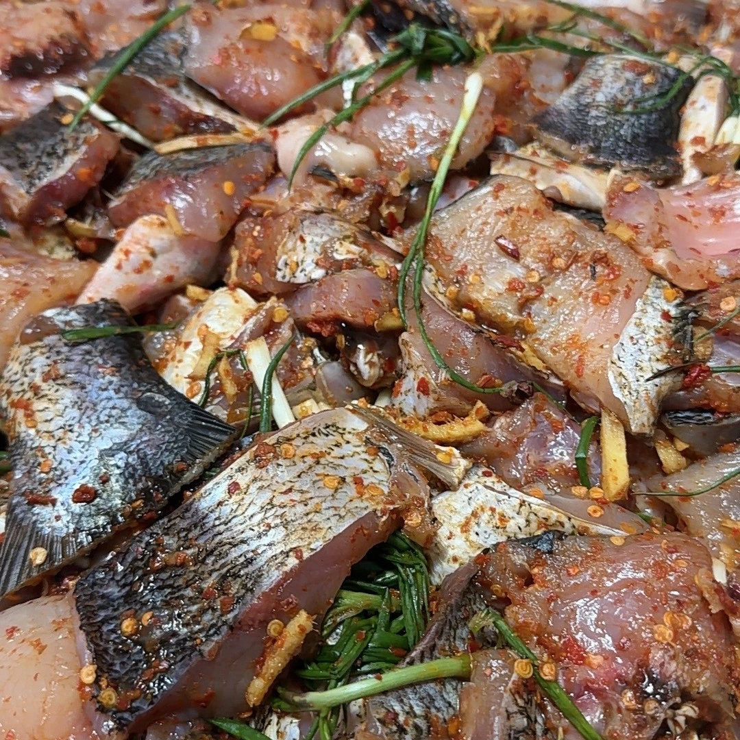 (劳模工匠精选)河南新县陈店戴岗水库本地链鱼桶鲜鱼