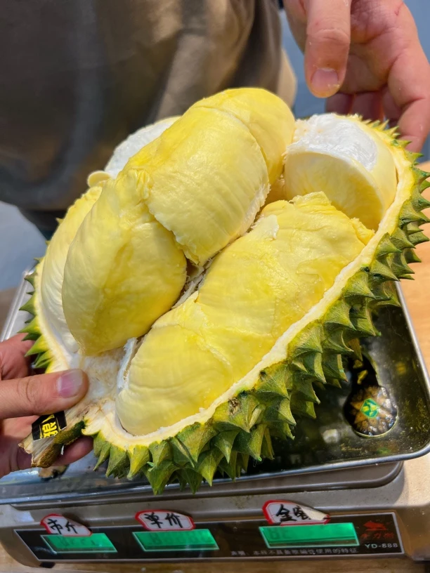 （2号）液氮金枕榴莲（一物一拍）榴莲同城送