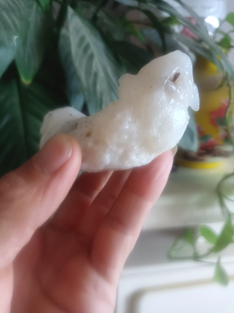 内蒙古阿拉善左旗天然奇石