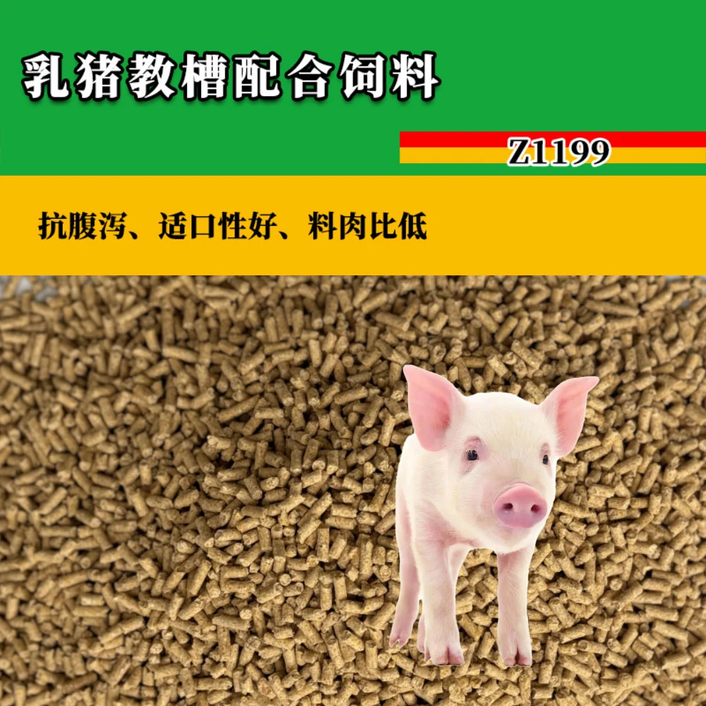 乳猪教槽配合饲料Z1199/营养小猪养殖/1斤样品/厂家直销