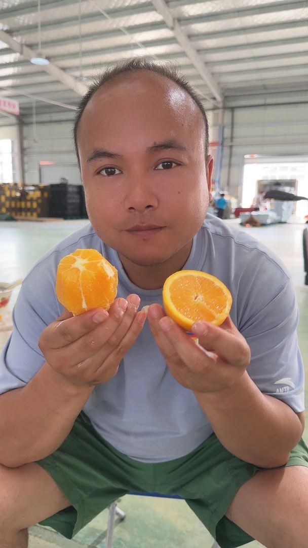 （坏果包赔）秭归现摘现发伦晚脐橙带箱5斤/9斤果香浓郁