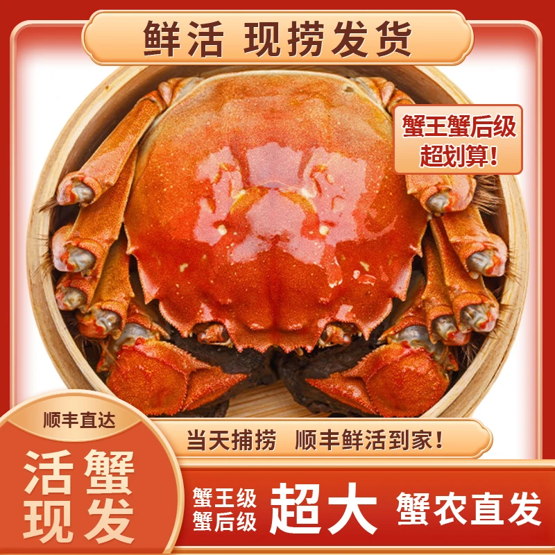 E【活蟹现发】（5.0-4.7两）公蟹4只+（4.0-3.7两）母蟹4只大闸蟹顺丰