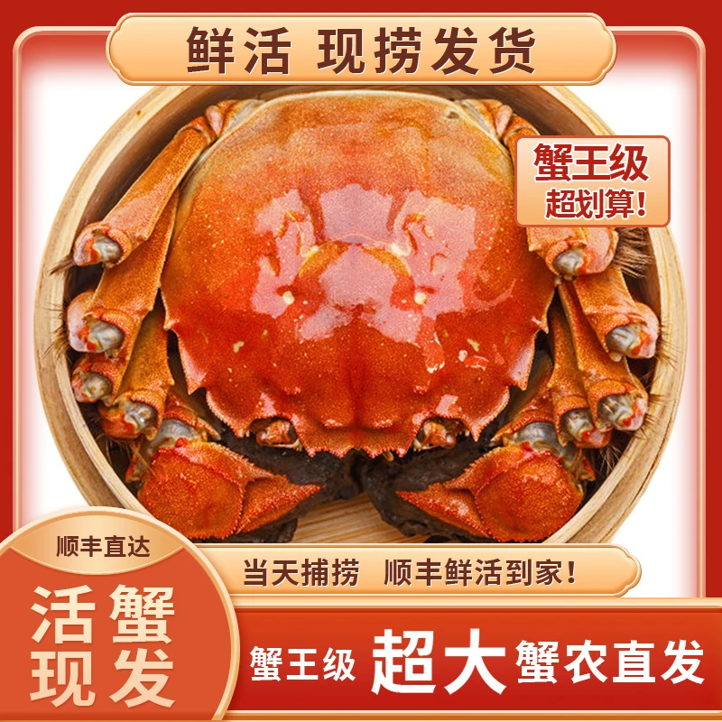 【活蟹现发】大闸蟹(4.0两-3.7两)8只+送2只到手10只全公螃蟹顺丰