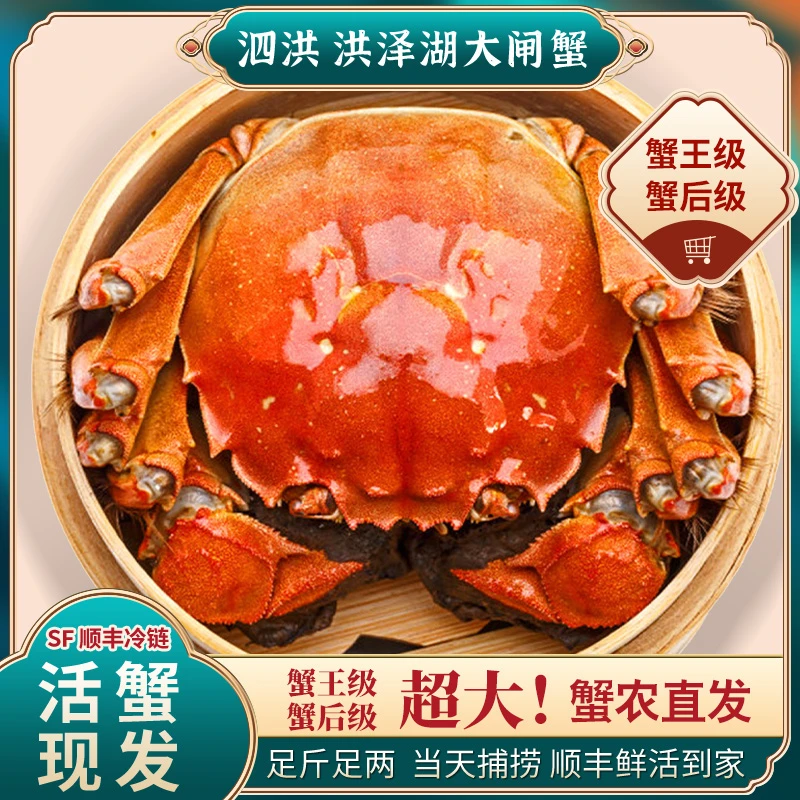 【活蟹现发】（4.5-4.2两）公蟹5只+（3.5-3.2两）母蟹5只大闸蟹顺丰