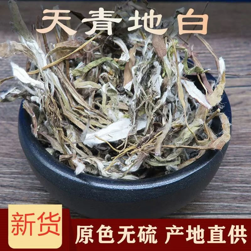 天青地白野生天青地白 叶下白 上青下白 细叶鼠曲草中药材白草