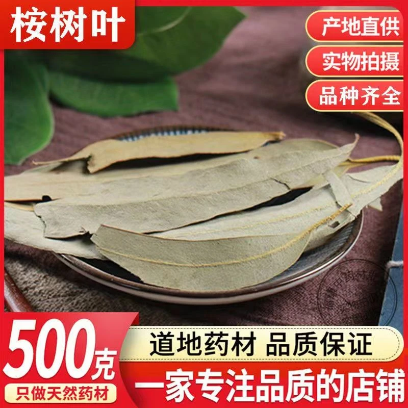 中药材精选正品桉树叶小桉树大叶按树叶子干尤加利树叶桉叶 安叶