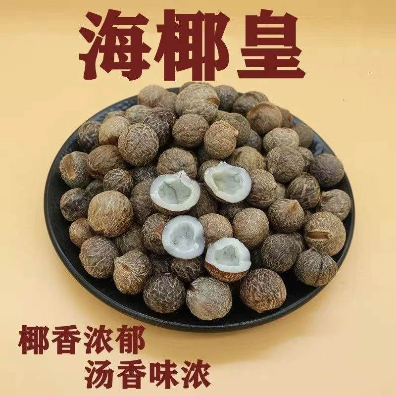 带壳海椰皇小椰子迷你非洲椰王干海南椰肉奶香广东椰子鸡汤虎奶菌