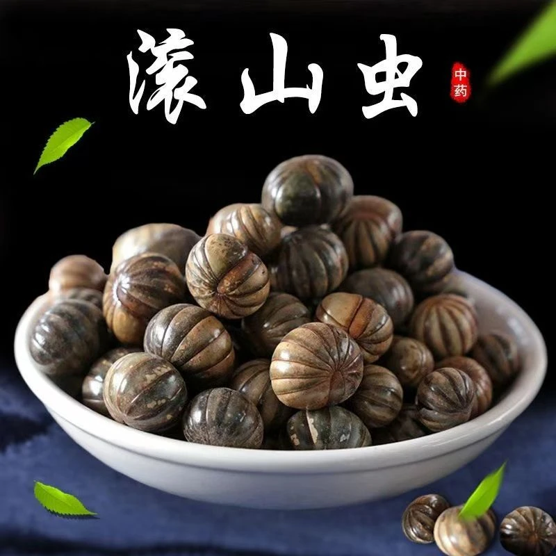 滚山珠中药材 正品滚山珠虫 地罗汉 滚山虫
