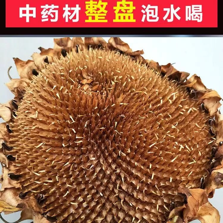 中药材精选正品向日葵花盘葵花盘子向日葵饼干葵花盘新货茶托散装