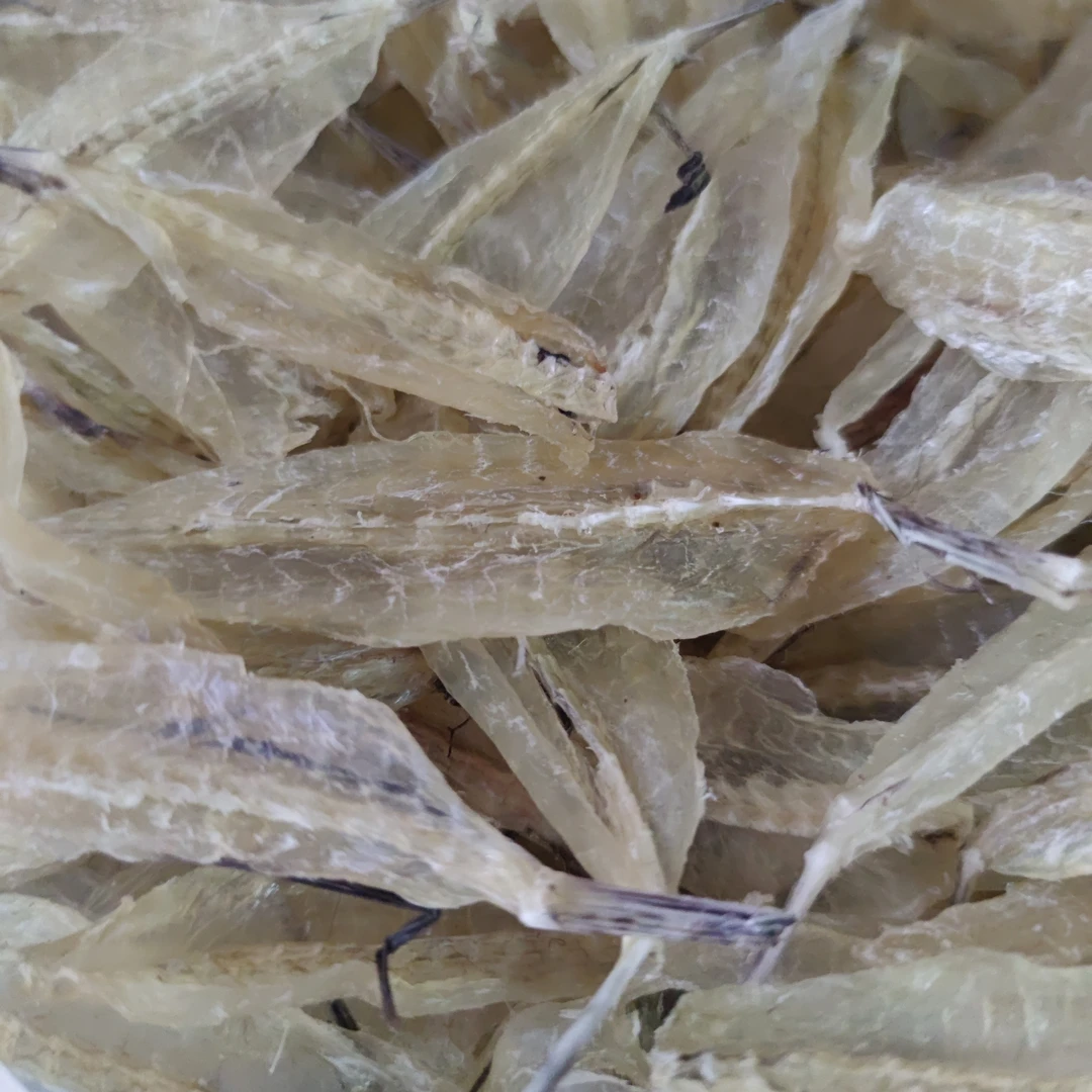 广西北部湾土特产沙丁鱼柳油炸烧烤非常美味