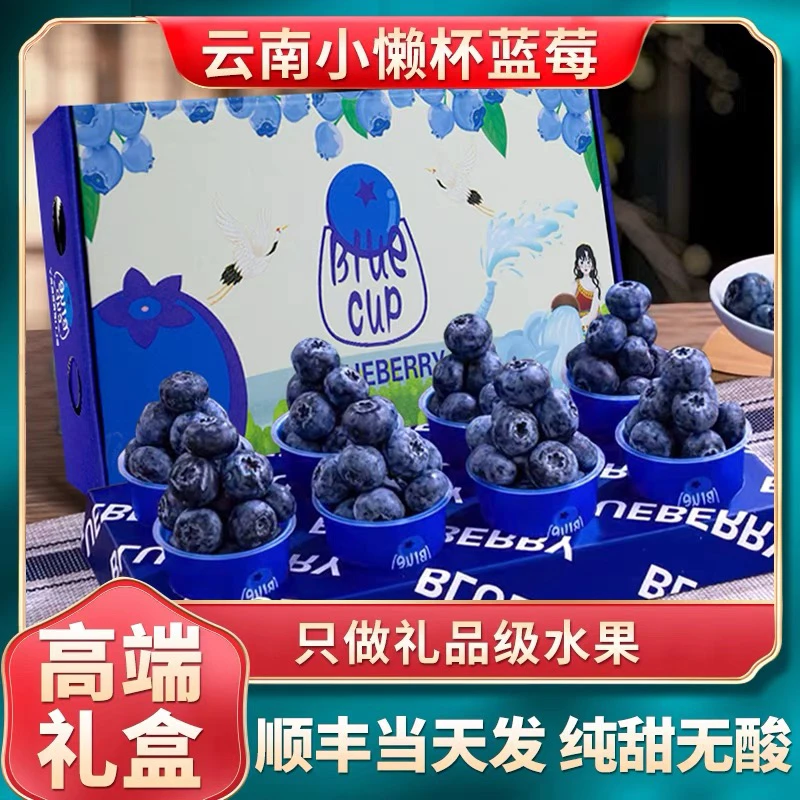 花香蓝莓小蓝杯8盒礼盒装现摘新鲜产地直发水果孕妇妈妈宝宝辅食