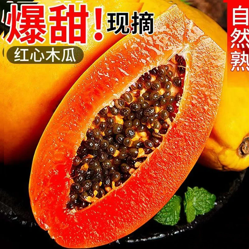 【树上自然熟】时令广西红心木瓜新鲜水果整箱当季孕妇冰糖心熟口感