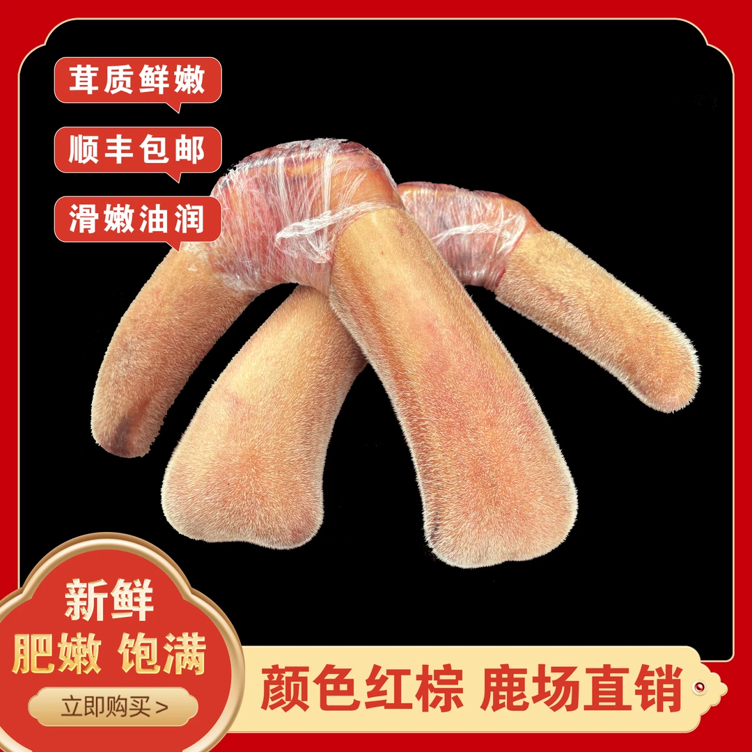 洋 东北特产  新鲜鹿茸 直播间选购 快递包邮