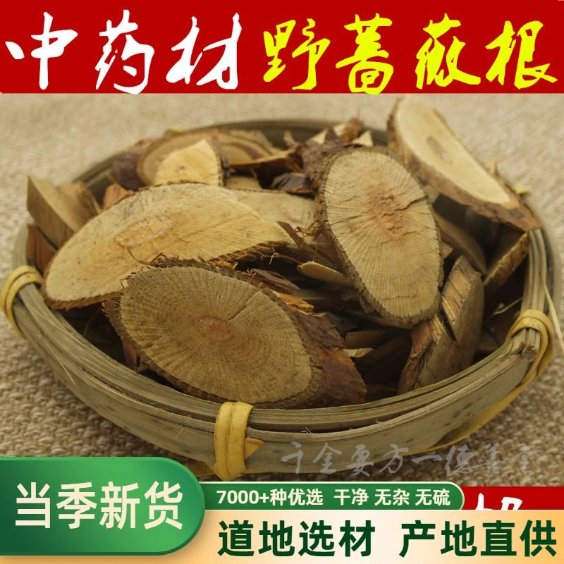 蔷薇根 野蔷薇根