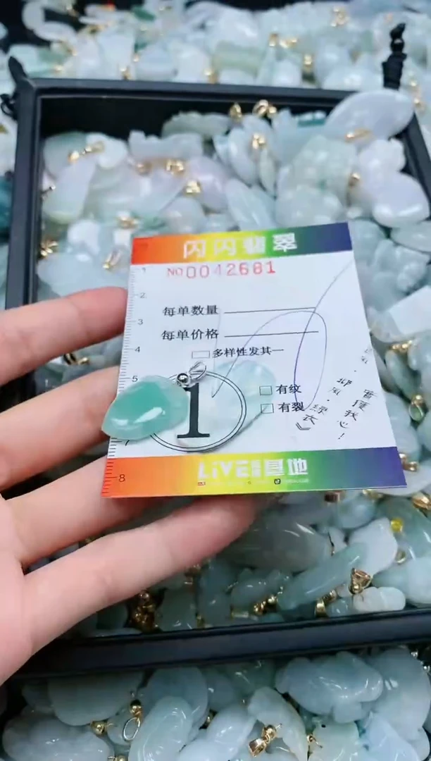 【闪购商品】翡翠颈饰未镶嵌闪购0042681