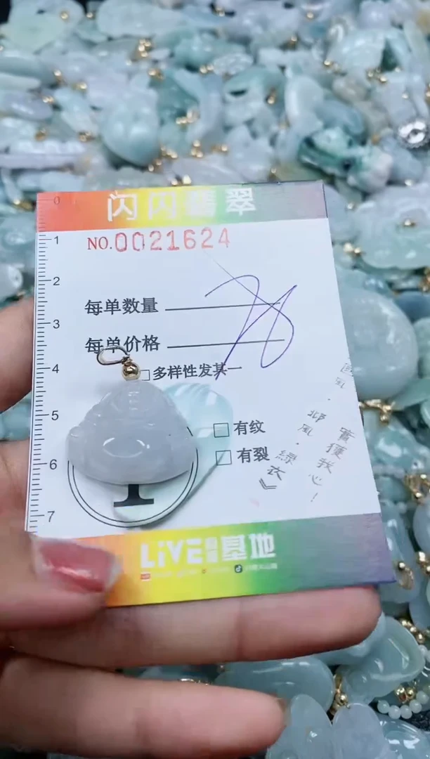 【闪购商品】翡翠颈饰未镶嵌闪购0021624