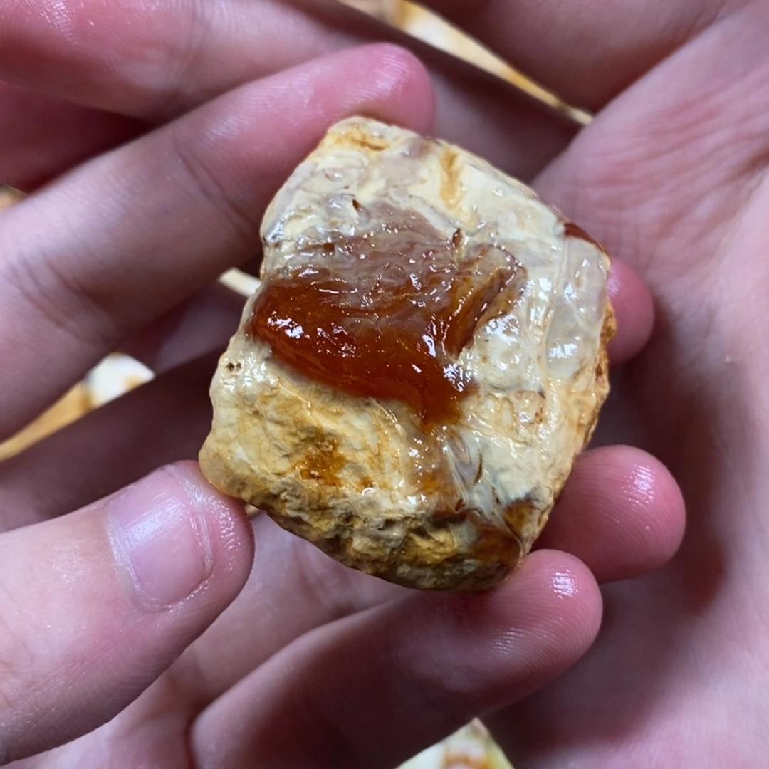 定制琥珀未镶嵌奶****虾琥珀蜜蜡原石定制