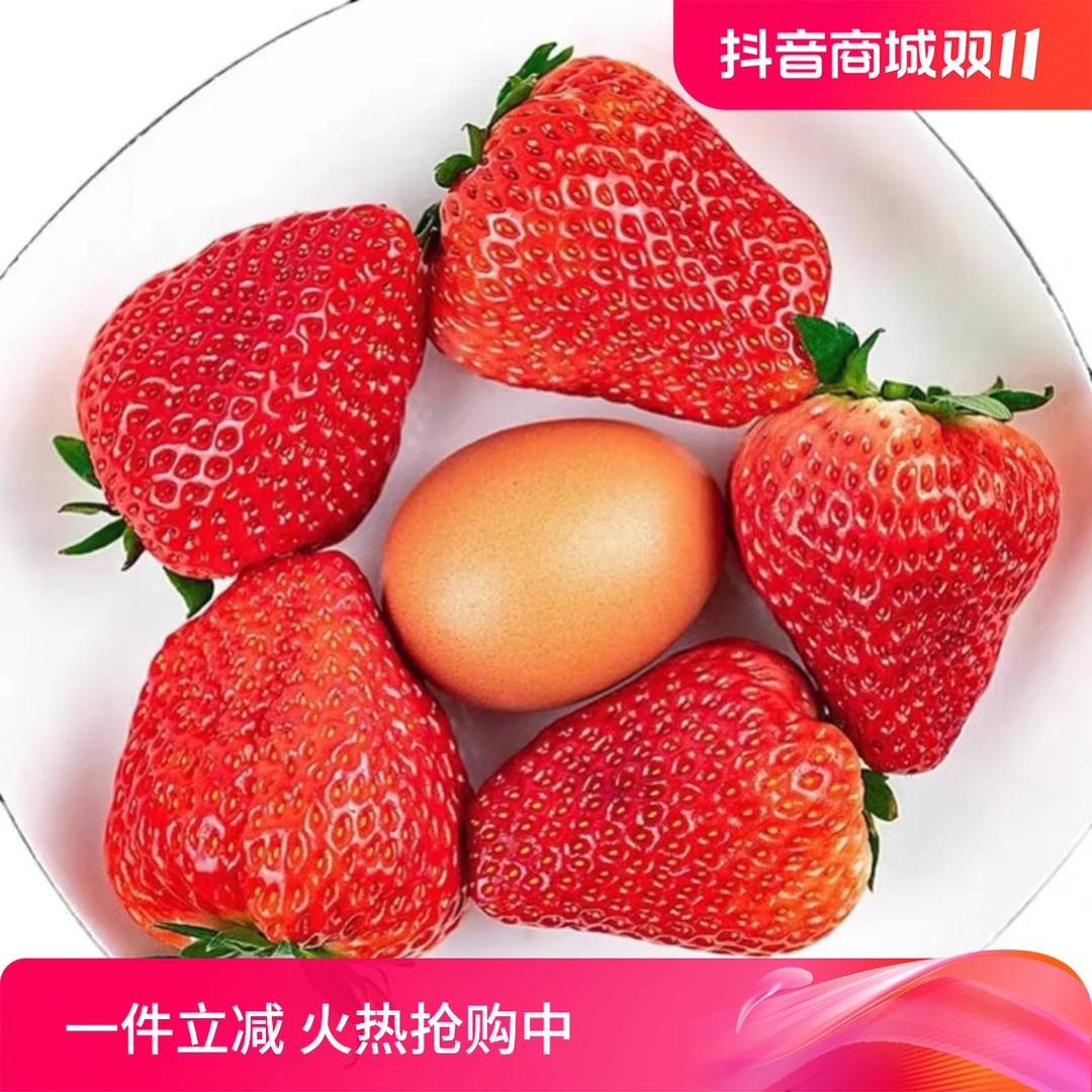 丹东九九草莓新鲜水果牛奶99净重0.9/1.5/2.5斤顺丰京东空运