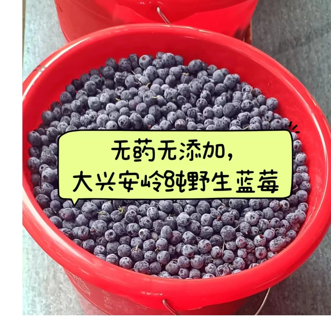 大兴安岭新鲜野生蓝莓鲜果 都柿蓝梅火车站行李房自提不送货5斤