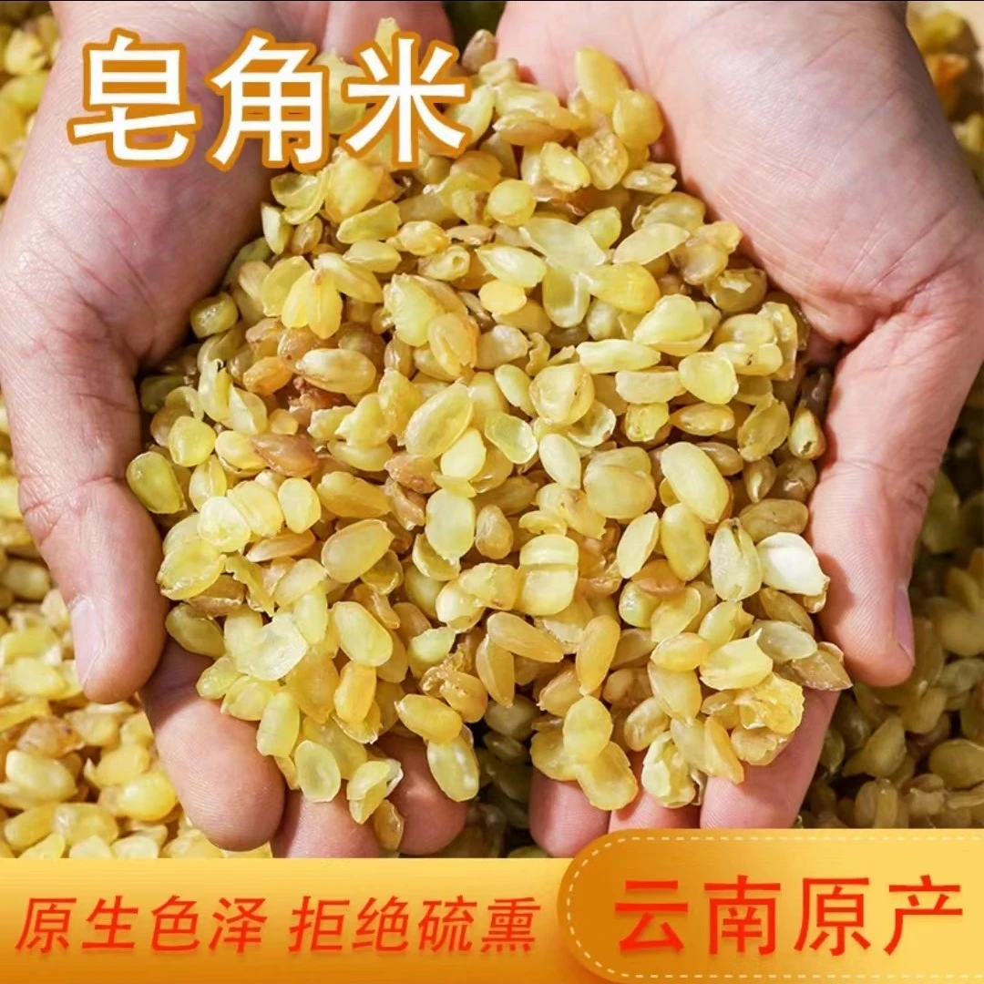 【主播甄选】云南皂角树米 500克 可搭配枸杞