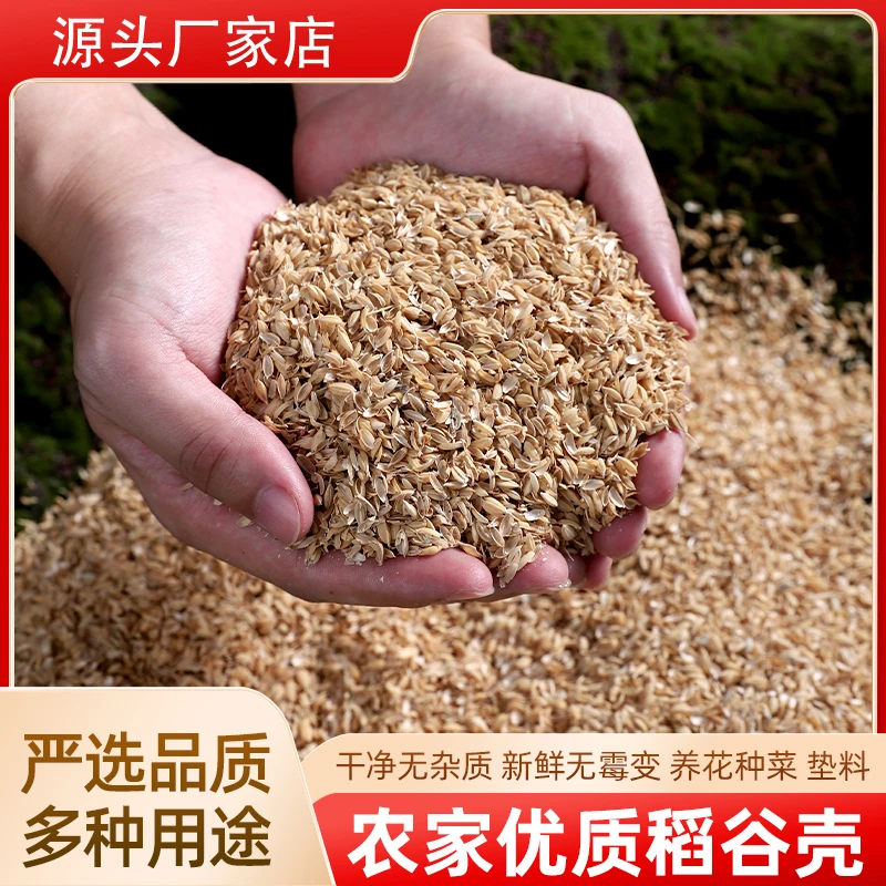 新鲜发酵种花种菜种树拌土疏松土壤透气粗糠鸡鸭鹅鸟饲料填充枕头