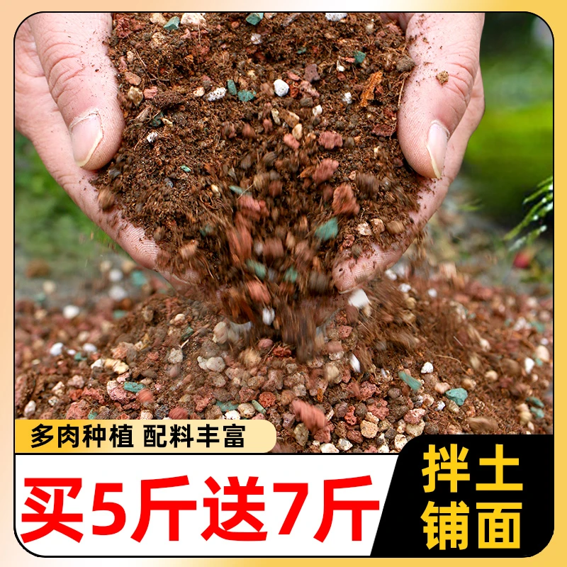 【买五斤送七斤】多肉专用营养土七彩颗粒土种植土疏松透气有机发根