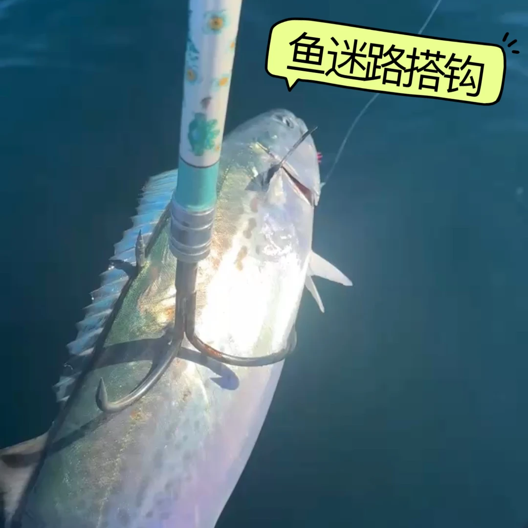 鱼迷路特制款搭钩本品采用优质304不锈钢配备8mm加长螺丝任意杆用