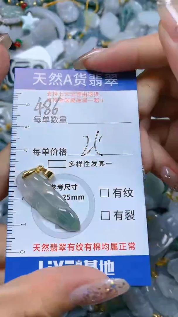 【闪购商品】翡翠颈饰未镶嵌天然A货翡翠