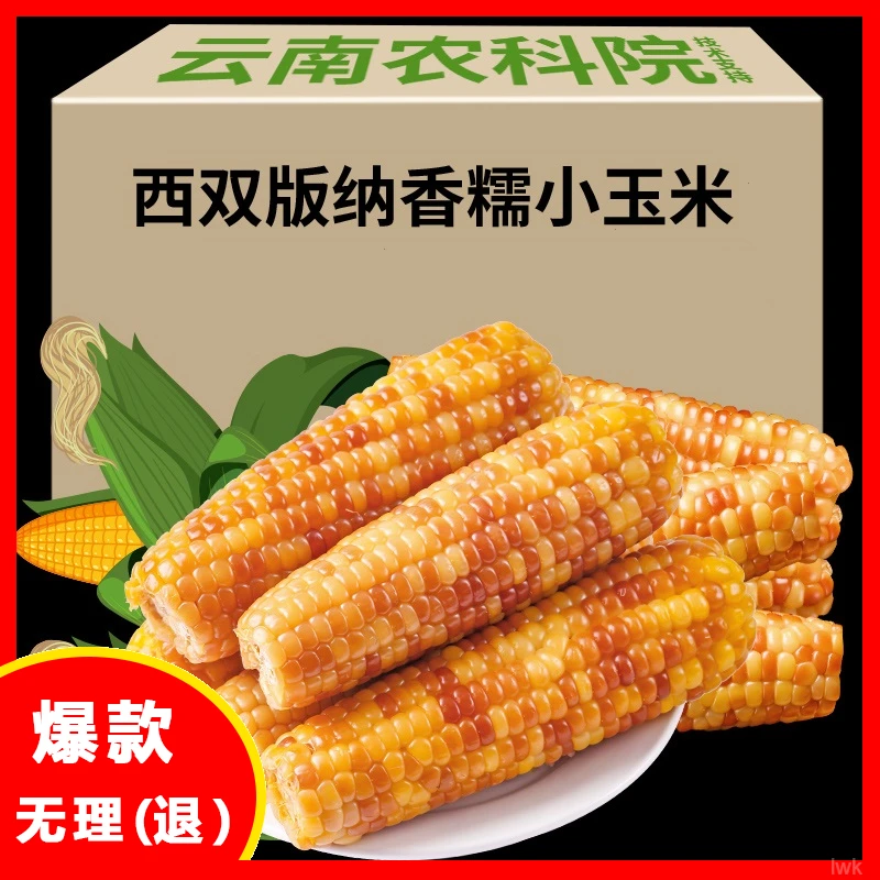 【云南正宗花糯玉米】甄选新鲜西双版纳玉米甜糯玉米棒非转基因营养