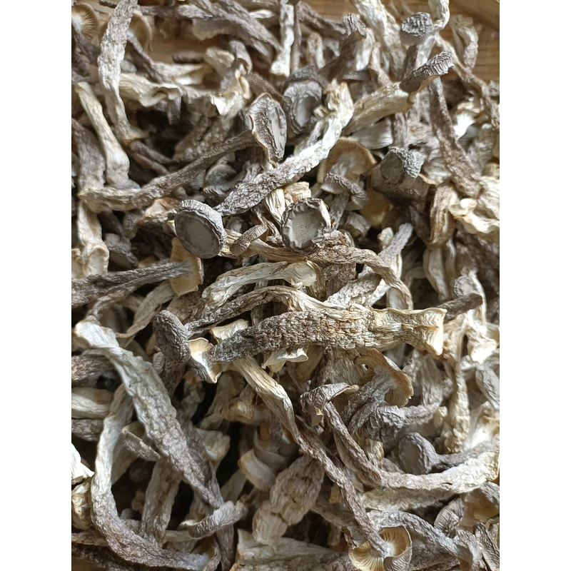 （阿月推荐）如意情鹿茸菇