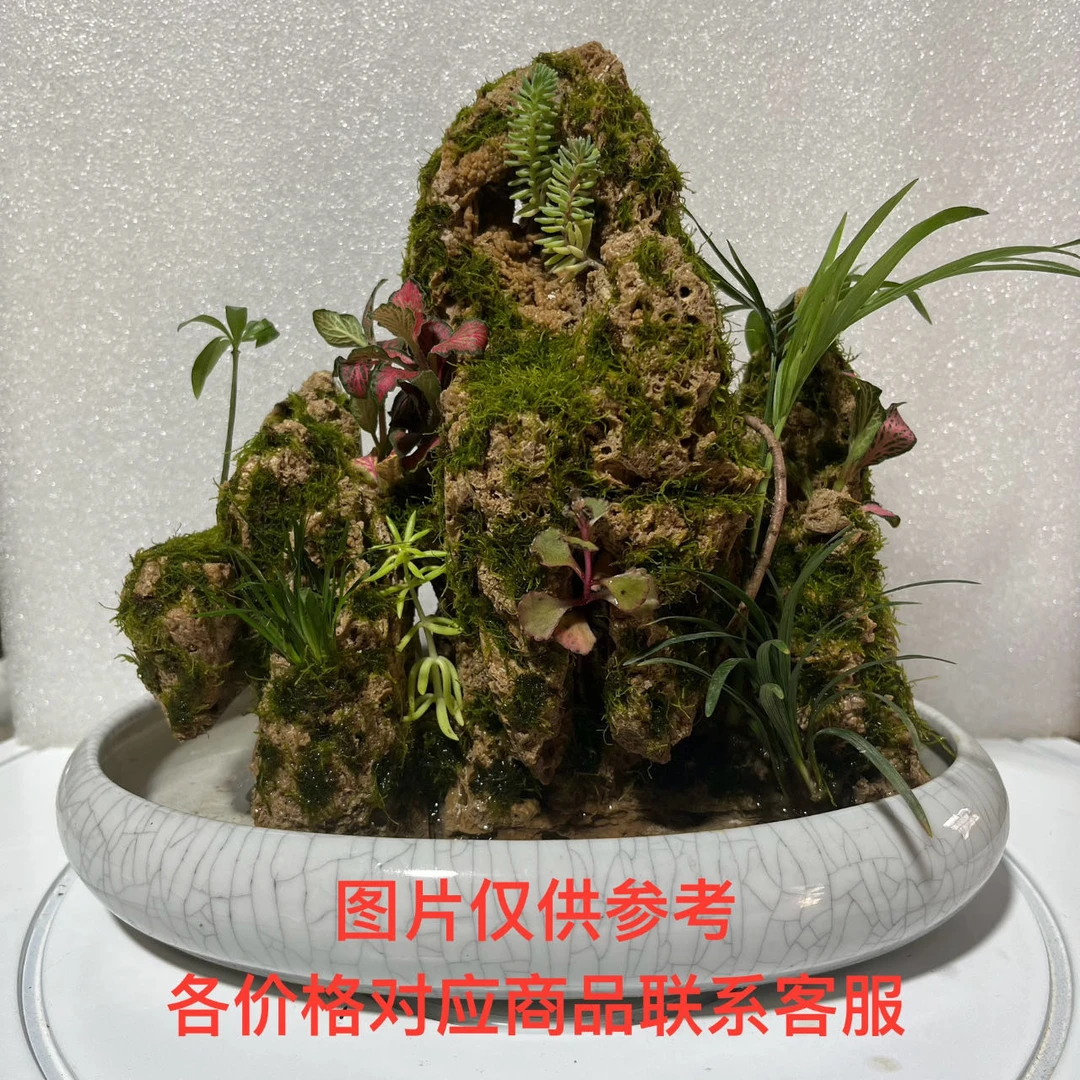 吸水石上水石盆景山水苔藓微景观假山造景中式禅意桌面绿植摆件