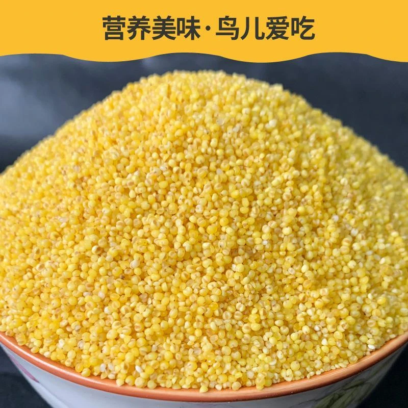 牡丹虎皮玄风小太阳和尚脱壳黄小米鸟粮