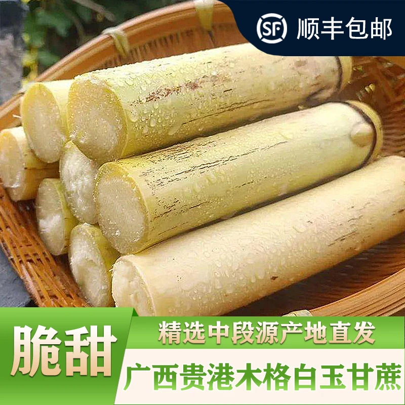 精选广西木格白玉甘蔗农家自种清脆甜当季水果甘蔗皮薄源产地直发