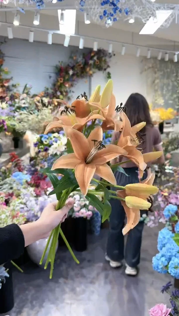 【闪购商品】红陶20CM（含）-50CM（不含）拍5到6橙色小百合